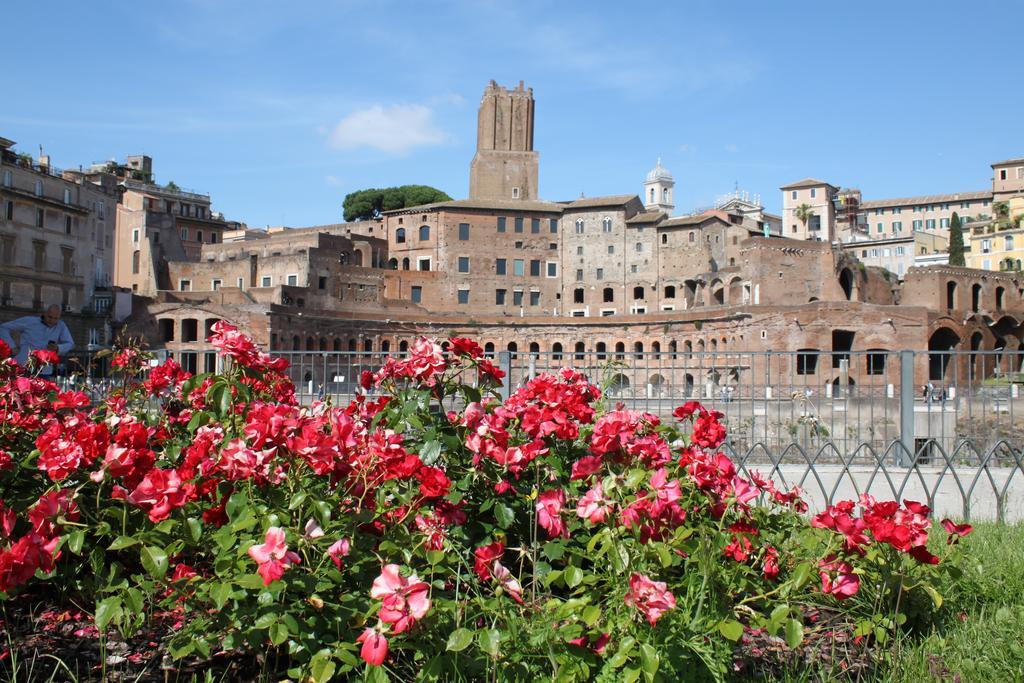 All Suite Colosseo Roma Oda fotoğraf